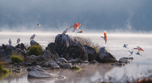 正在上传... 331c0624483c982a22888b364deeb846.png