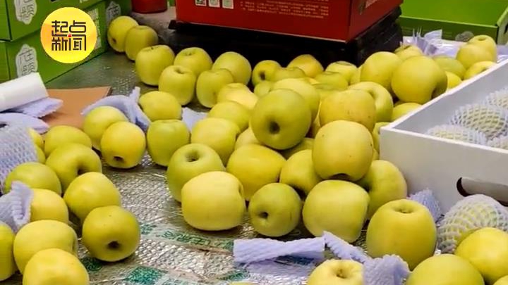 汁水多！香气浓！ 解锁长武苹果脆甜爆汁密码