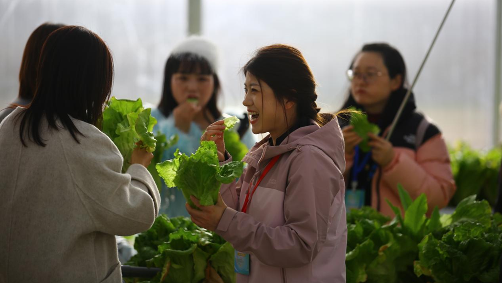 从“大车店”到“打卡地” 长武在窑洞畔写下乡村旅游的“诗与远方”