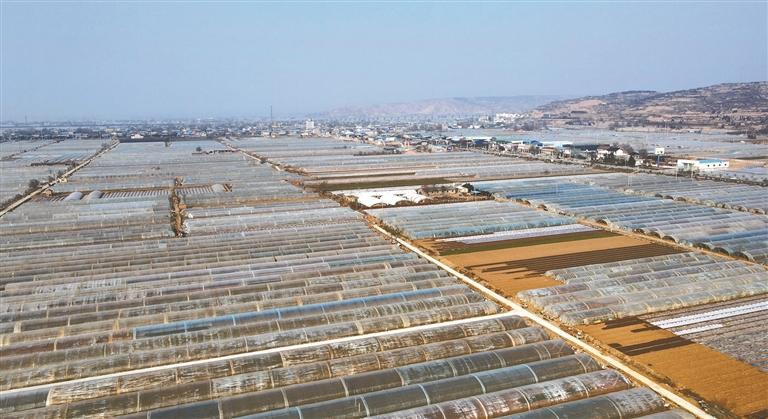 三原奏响乡村振兴“三重奏”