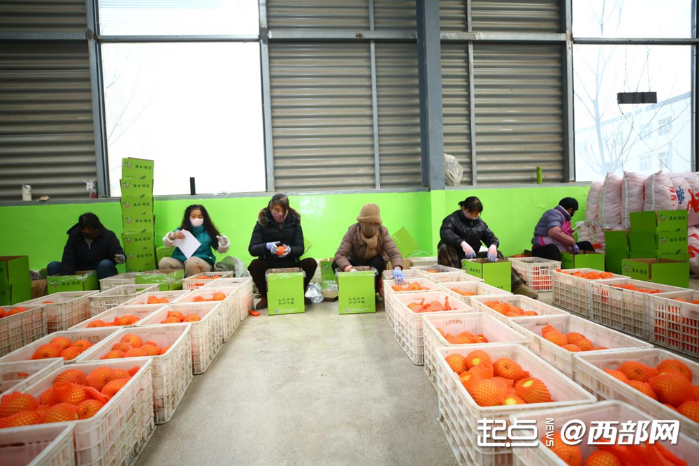 正在上传... 0d21dbd09aa74bdd191dd4f16375d883.png