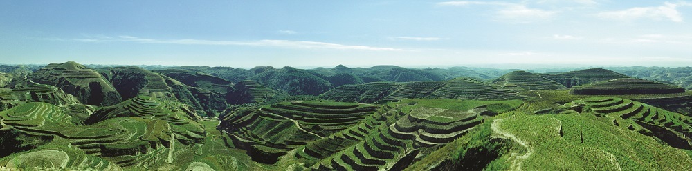 黄土高原生态治理样板村高西沟。
