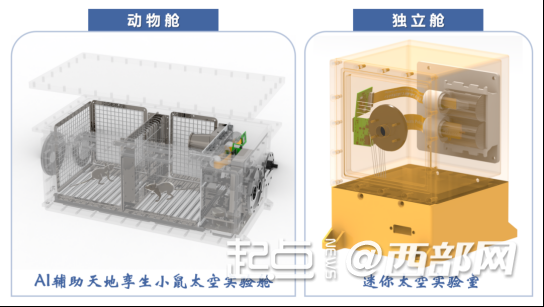 正在上传... 6bd80549474d30427d6f6be5a33f79ff.png