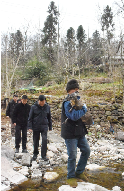 正在上传... df57ff1bec7b169f782093b5feafa8cb.png