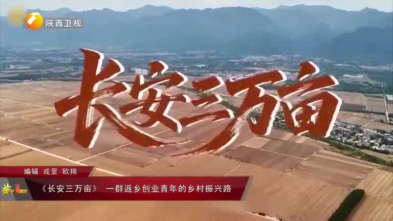 TV1周刊（2025-12-20）