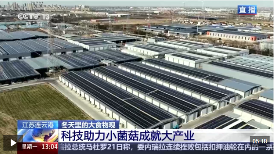 正在上传... 3ea83da7a357314a7872bbf8299293e4.png