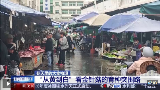 正在上传... 8ef3abfc9ce805c51449a019f460b6a8.png