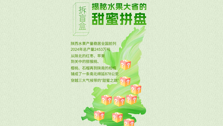 拆盲盒 揭秘水果大省的甜蜜拼盘