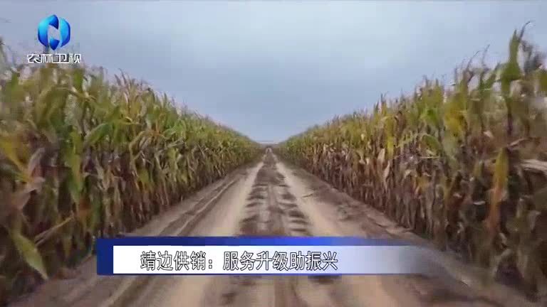 农村大市场 (2025-12-29)