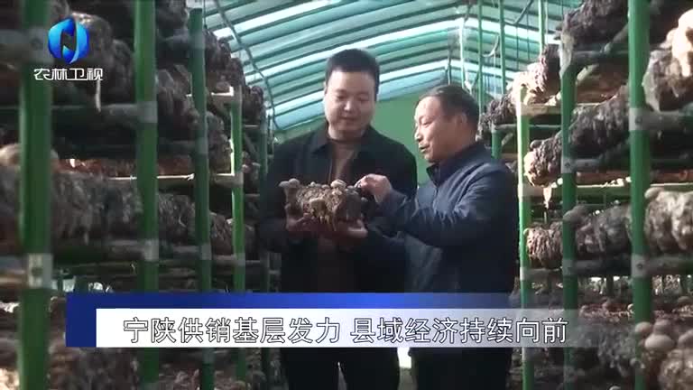 农村大市场 (2025-12-30)