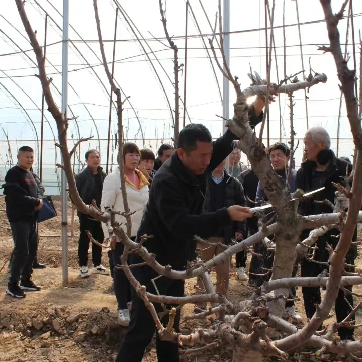 正在上传... ac7243a9093d51c32c0b464c9abdbc13.png