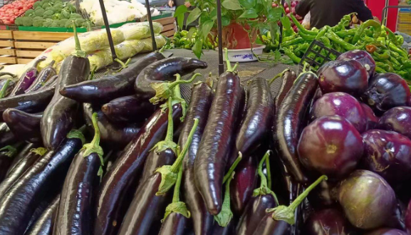 “新农人”带领乡亲敲开“致富门”