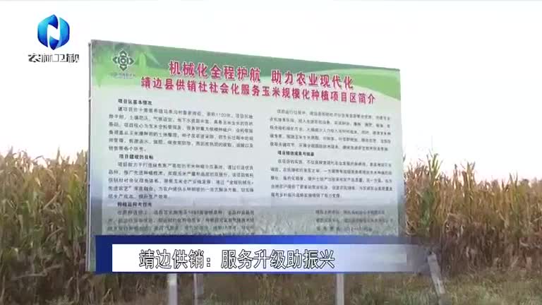 农村大市场 (2026-01-01)