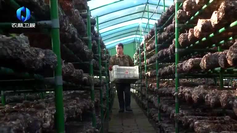 农村大市场 (2026-01-02)