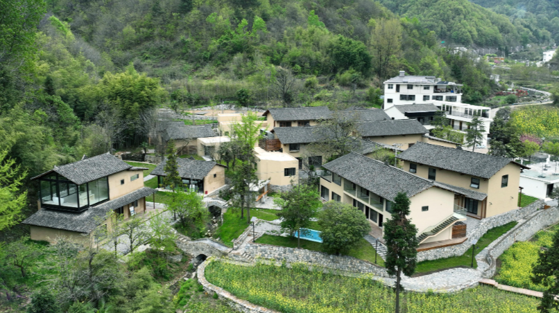 宁陕县自然资源局：守护绿水青山 筑牢资源保障根基