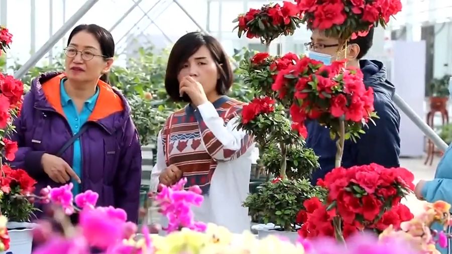 新年開(kāi)新局 特色產(chǎn)業(yè)描繪和美鄉村“新春景”