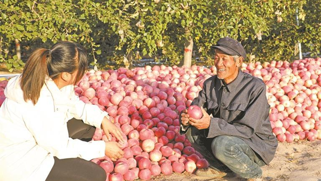 说说我的“致富经”