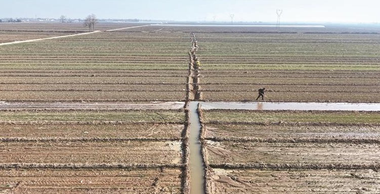 正在上传... 30ff500ce47dd2793a5cbf6af28ab94f.png