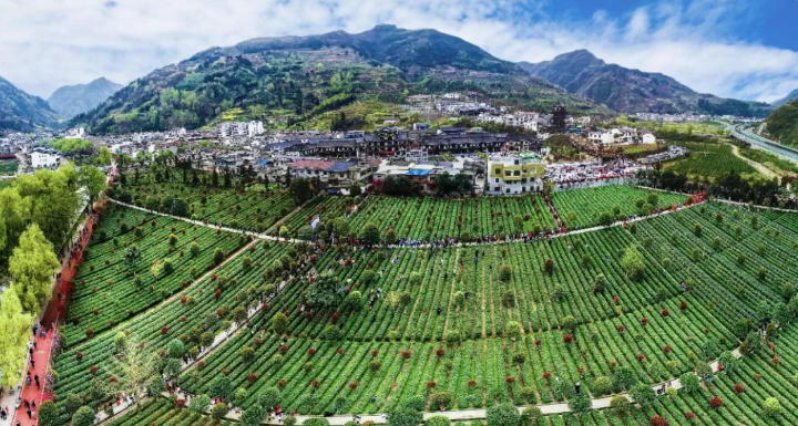 正在上传... d31affad0a4ed5d47e0a1aa0895f4325.png