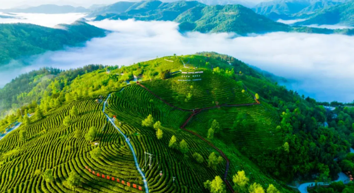 正在上传... 956a02e233376ab615503c0b23db1563.png