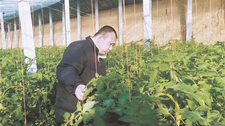 陕西加强残疾人职业技能和实用技术培训 为残障群体就业铺路搭桥