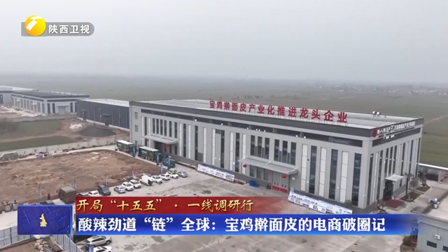 【开局“十五五”·一线调研行】酸辣劲道“链”全球：宝鸡擀面皮的电商破圈记