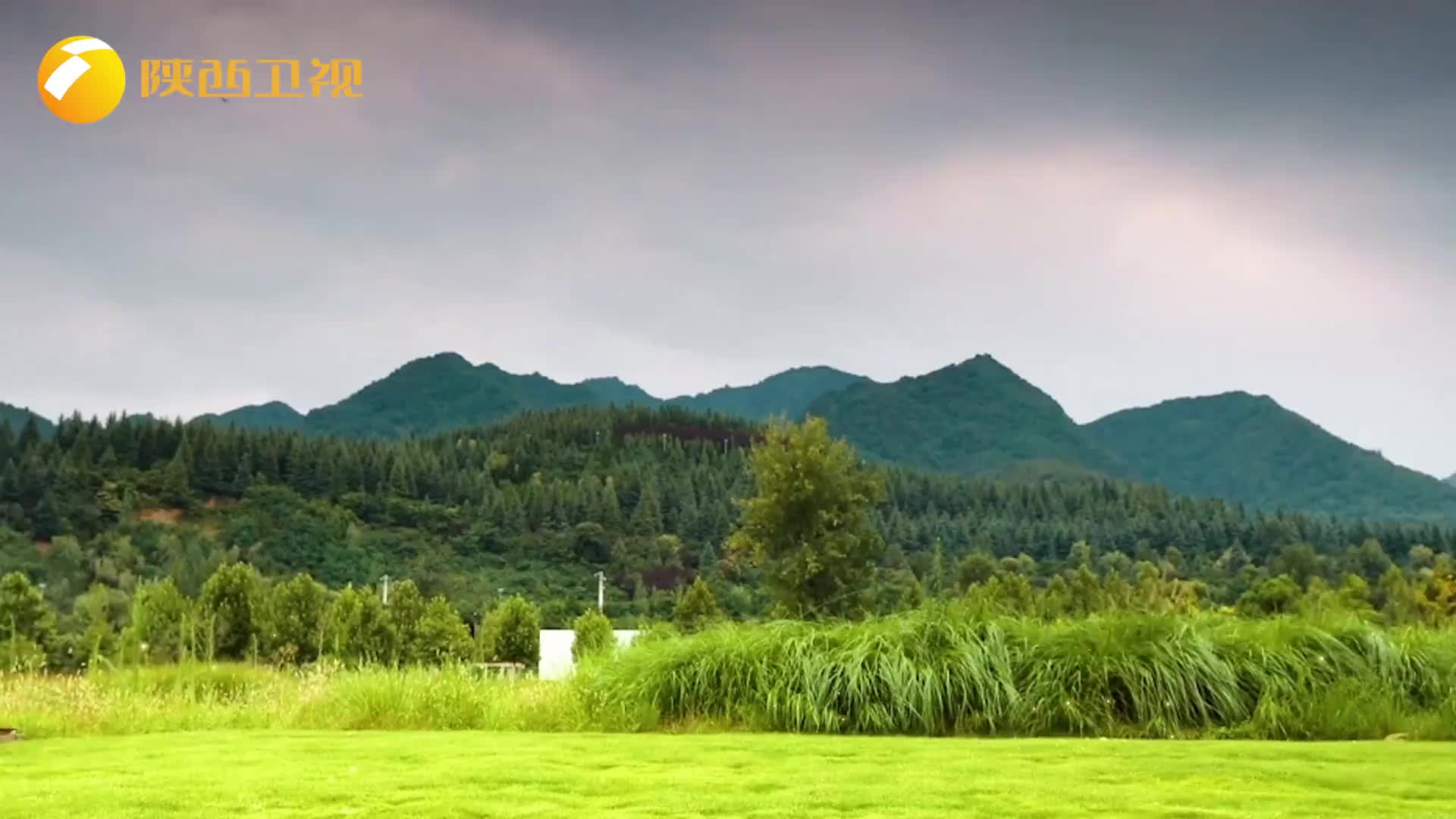 我们的绿水青山（2025-11-03）