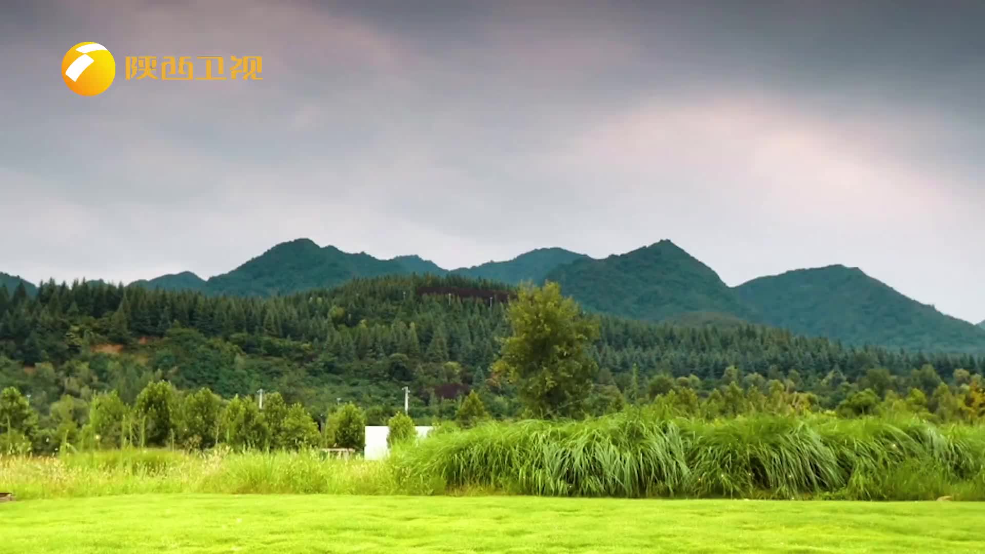 我们的绿水青山（2025-12-01）