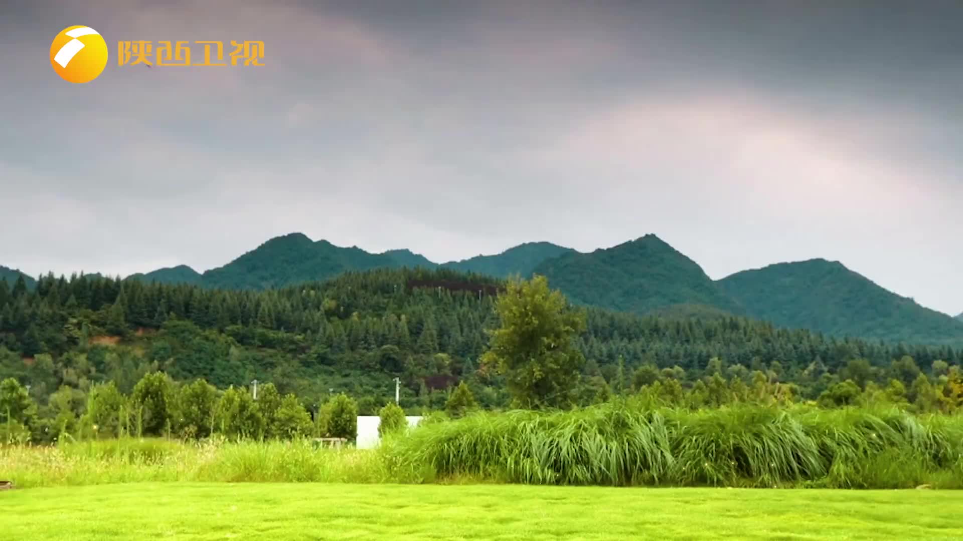 我们的绿水青山（2026-01-05）