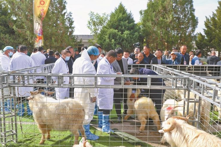 正在上传... b45ecac89fb112e8ec7011c18152d99d.png