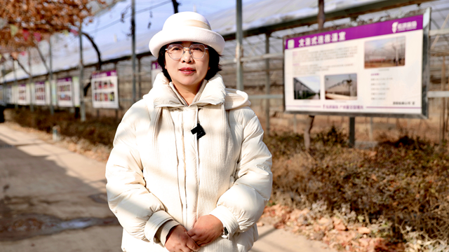 代表委员新期待丨陕西省人大代表杨育英：加快农业排水排碱设施和冷库建设 提升农业生产抗风险能力