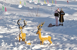 冰天雪地里，最北之村正热腾呢——黑龙江漠河北极村发展特色产业的故事