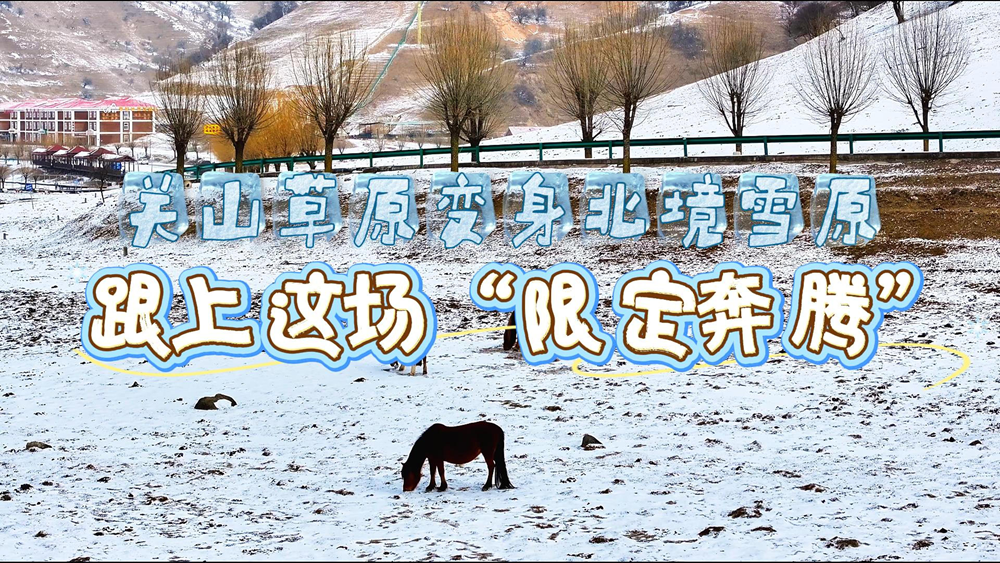 跟上这场辽阔的“限定奔腾”！关山“草原”变身北境“雪原”