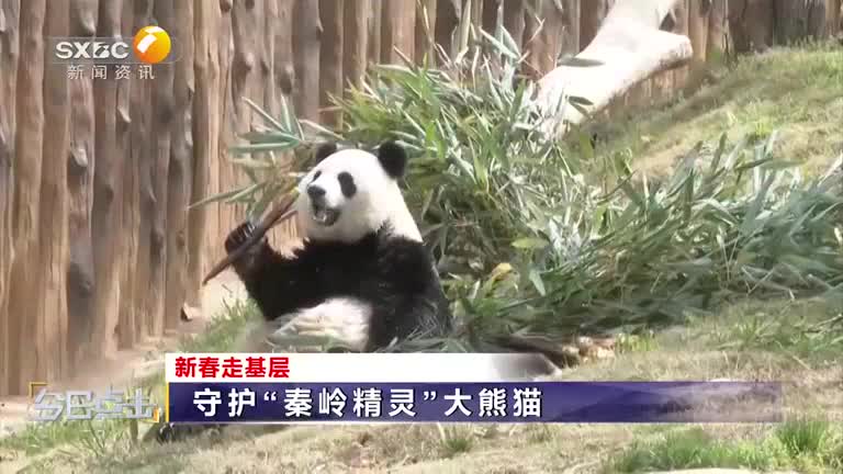 今日点击 (2026-02-06)