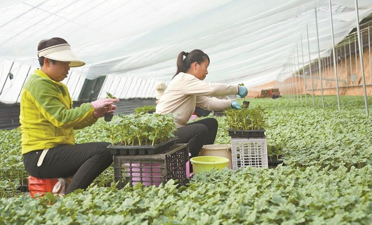 “特”字引领 链上发力