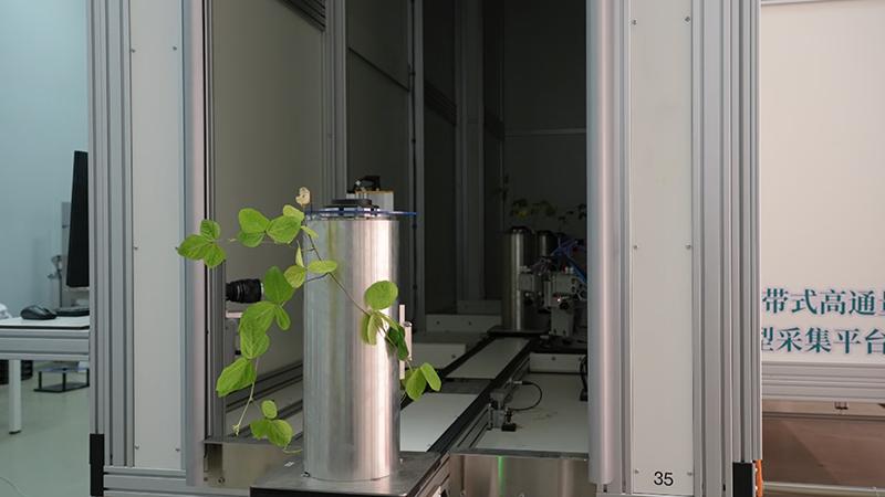 新春走基层｜这里的作物，正在做“CT”