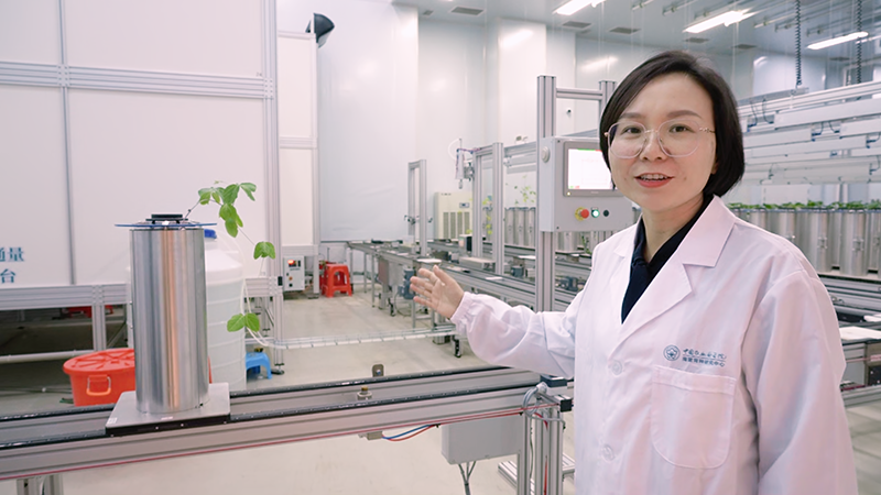 新春走基层｜这里的作物，正在做“CT”