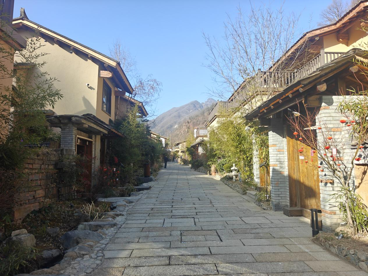 新春走基层丨从“绿水青山愁”到“生态富村乐”  商洛市柞水县朱家湾村的生态致富路_fororder_图片2