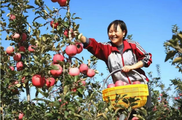 正在上传... 2c372079a15d9dcfecb8dd324f7240c3.png