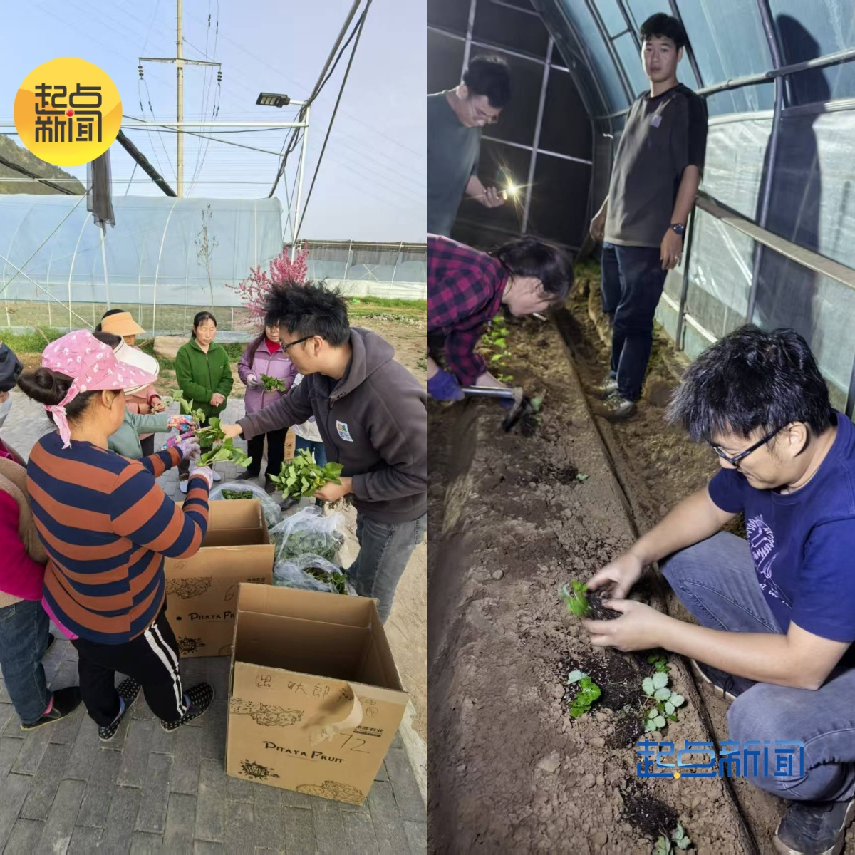 正在上传... 291d6e41fe992b837cd5bc820ddf796a.png