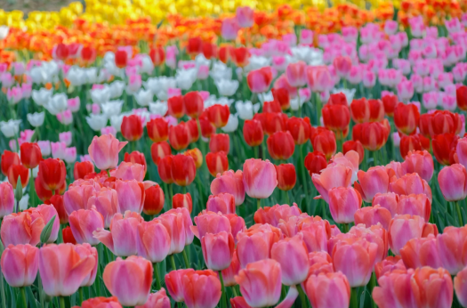 正在上传... ae2d04c3c10f874fd731a6c5e5d7a9b9.png