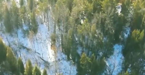 陕西：统筹推进绿色转型 “碳汇经济”初显成效