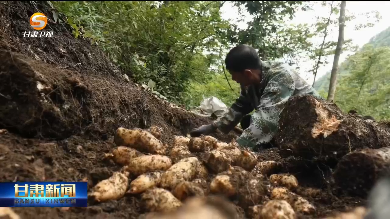 复制图片 2a4ffdafb8d39a3f70868afb40289601.png