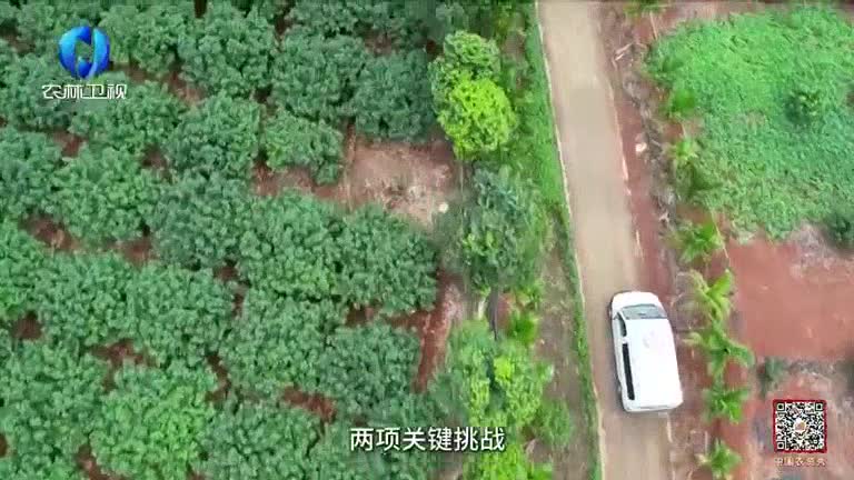 中国农资秀 (2026-02-16)