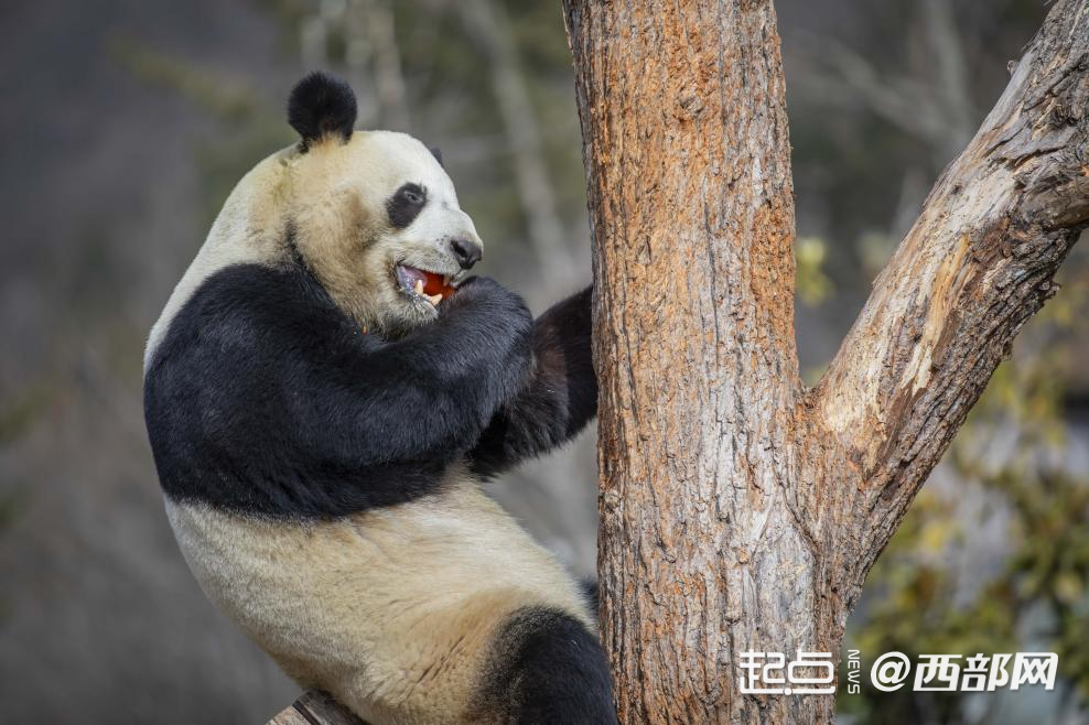 正在上传... 535a67f71a81d603e86a2aabe8aef856.png