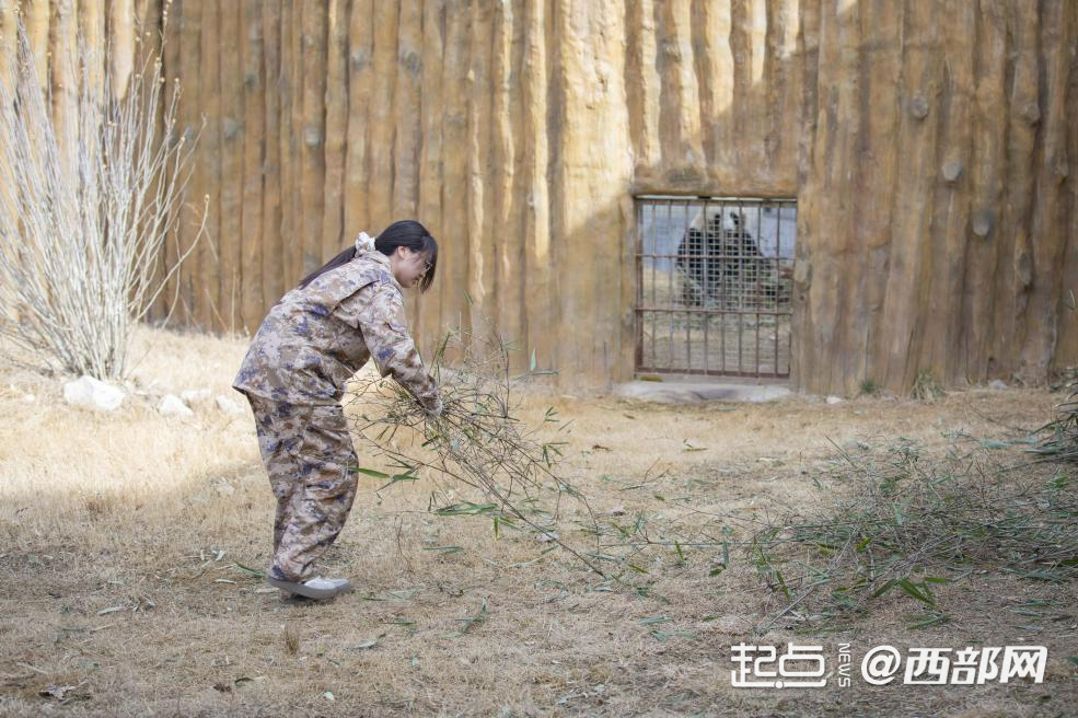 正在上传... 76681beab2789f70047d4b17b01e3200.png