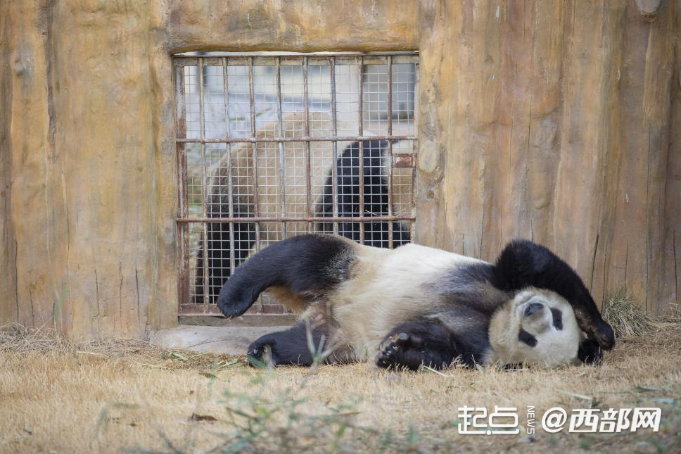 正在上传... b2f583a16f471d2aa20b670223b08da8.png