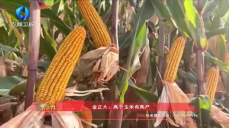 中国农资秀 (2026-02-17)