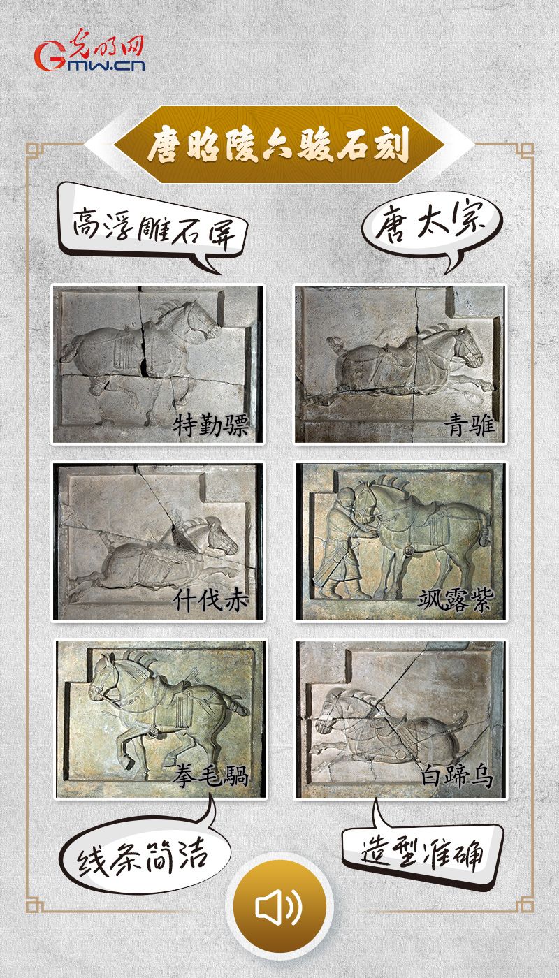 “文物会说话”有声海报｜这6匹“马”，既是艺术也是丰碑