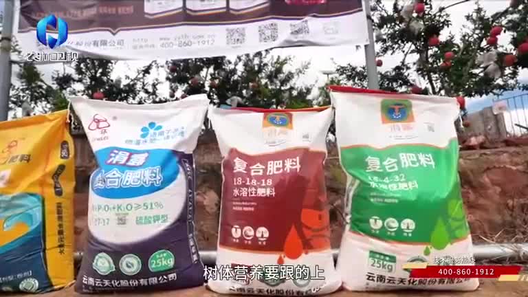 中国农资秀 (2026-02-18)